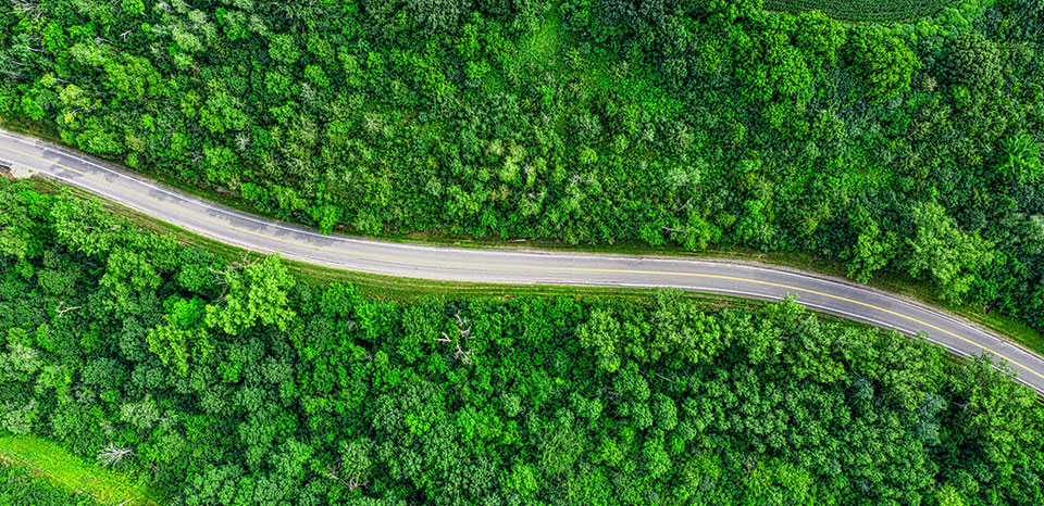 公司治理責(zé)任